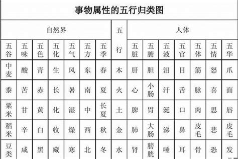 容五行|容字的五行属性是什么